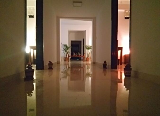 CasaMelhor Areca Exotica