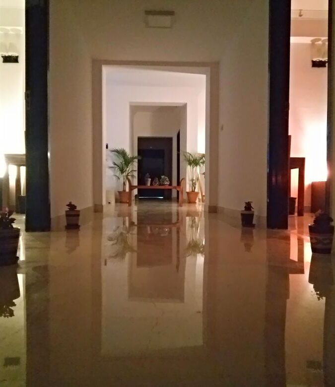 CasaMelhor Areca Exotica